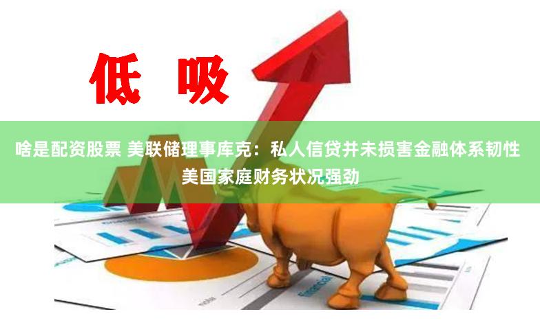 啥是配资股票 美联储理事库克：私人信贷并未损害金融体系韧性 美国家庭财务状况强劲