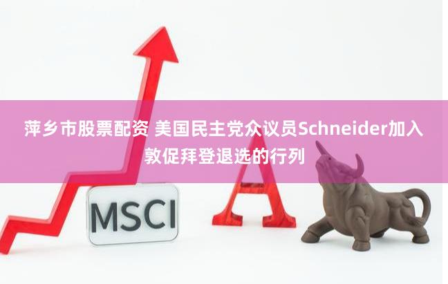 萍乡市股票配资 美国民主党众议员Schneider加入敦促拜登退选的行列