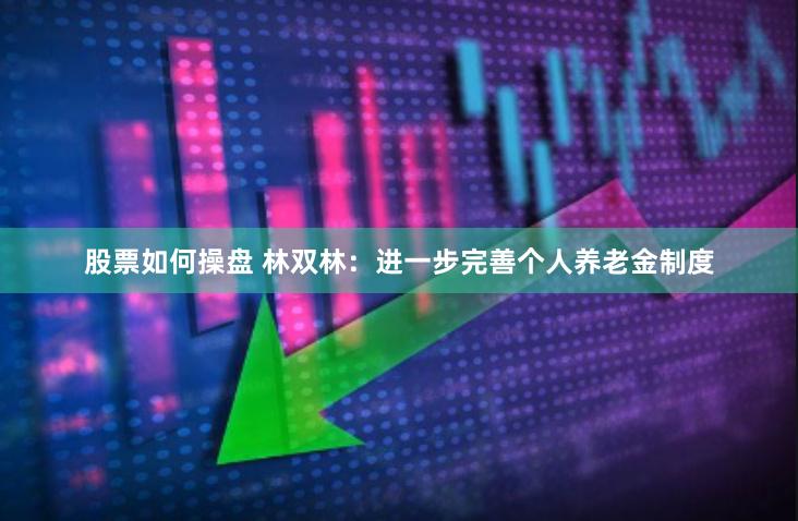 股票如何操盘 林双林：进一步完善个人养老金制度