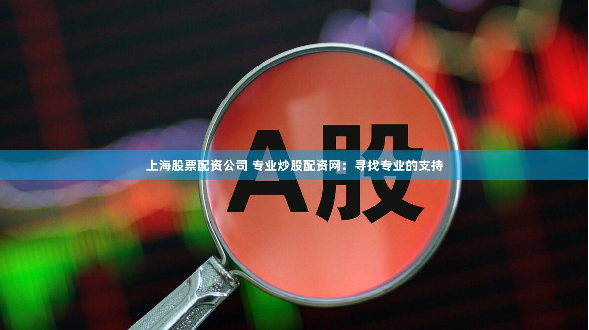 上海股票配资公司 专业炒股配资网：寻找专业的支持