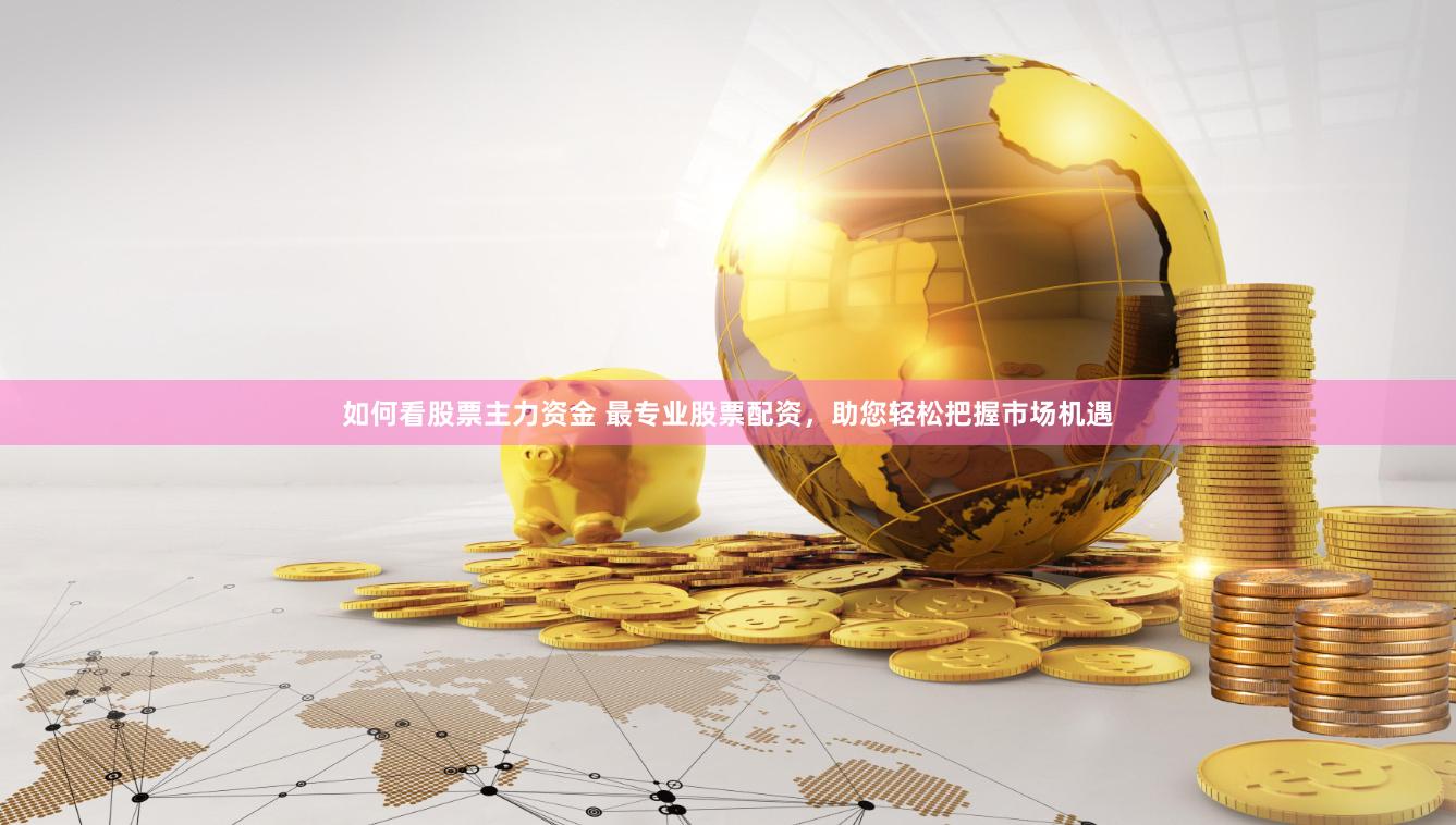 如何看股票主力资金 最专业股票配资，助您轻松把握市场机遇