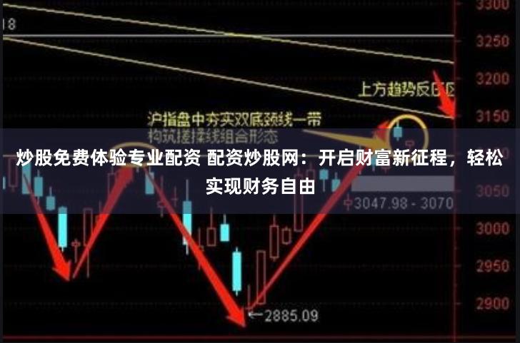 炒股免费体验专业配资 配资炒股网：开启财富新征程，轻松实现财务自由