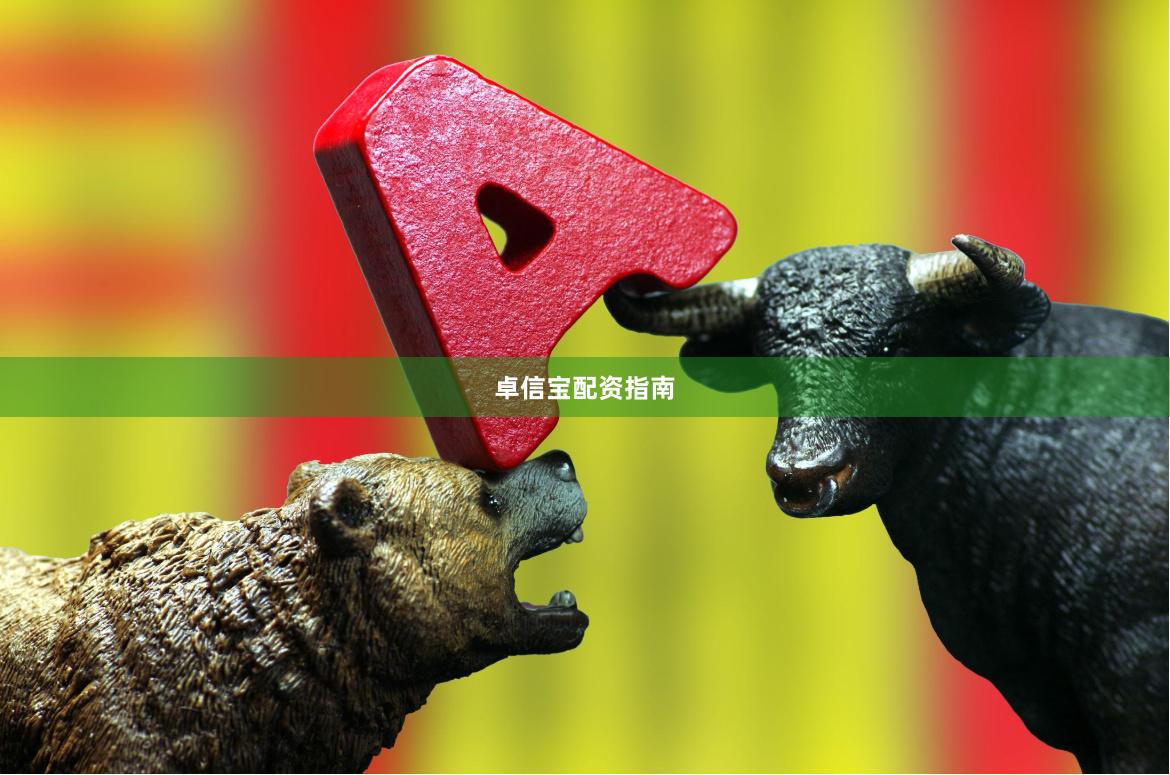 卓信宝配资指南