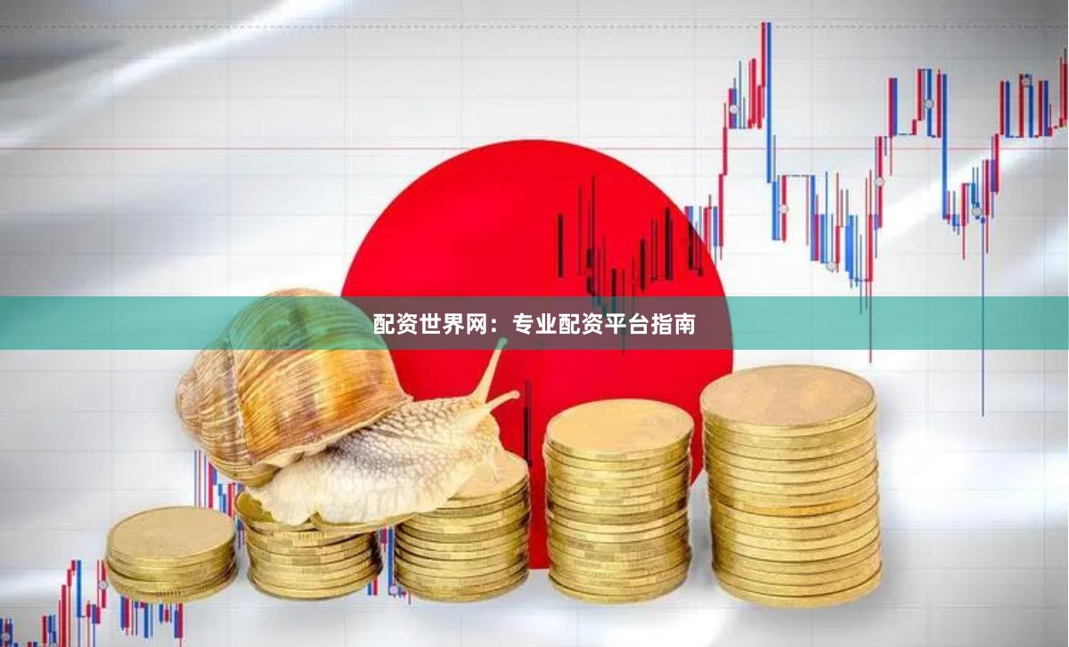 配资世界网：专业配资平台指南