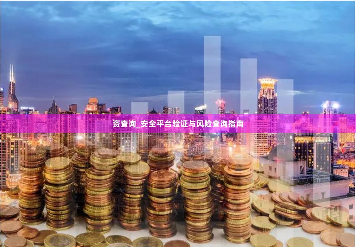 资查询_安全平台验证与风险查询指南