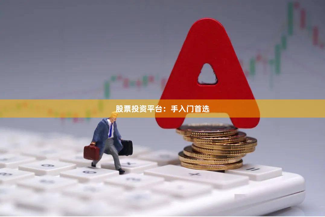 股票投资平台：手入门首选